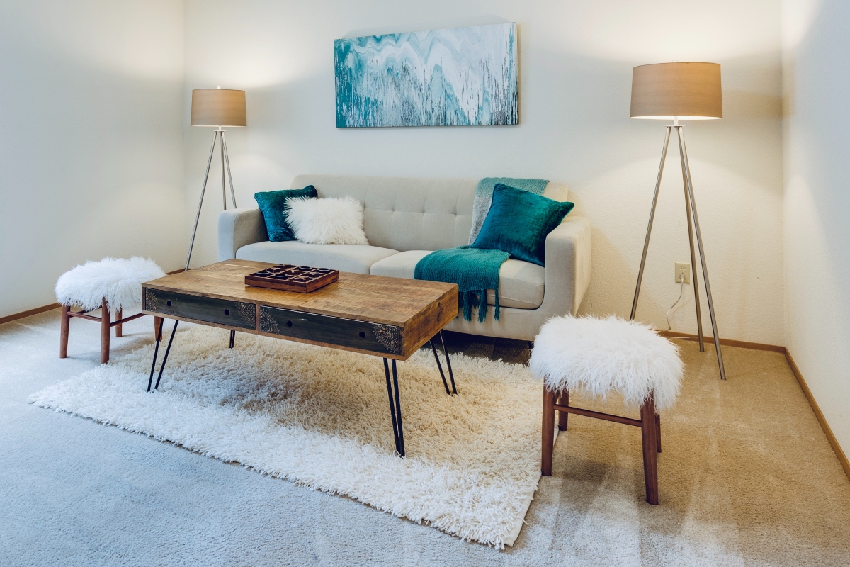 Choosing a Carpet for a Rental Property Pinpoint Homes